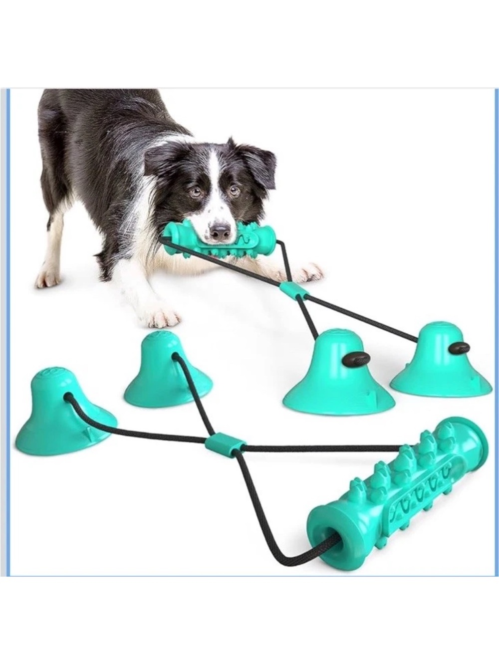 Teal Interactive Tug & Chew Training Toy for Dogs